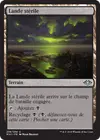 Product image for Lande stérile
