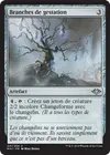 Product image for Branches de gestation