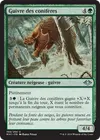Product image for Guivre des conifères