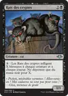 Product image for Rats des cryptes