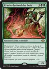 Product image for Ermite du fond des bois