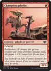 Product image for Champion gobelin