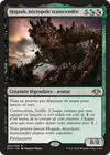 Product image for Hogaak, nécropole transcendée