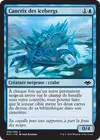 Product image for Cancrix des icebergs