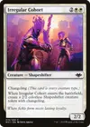 Product image for Irregular Cohort