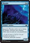 Product image for Physalie
