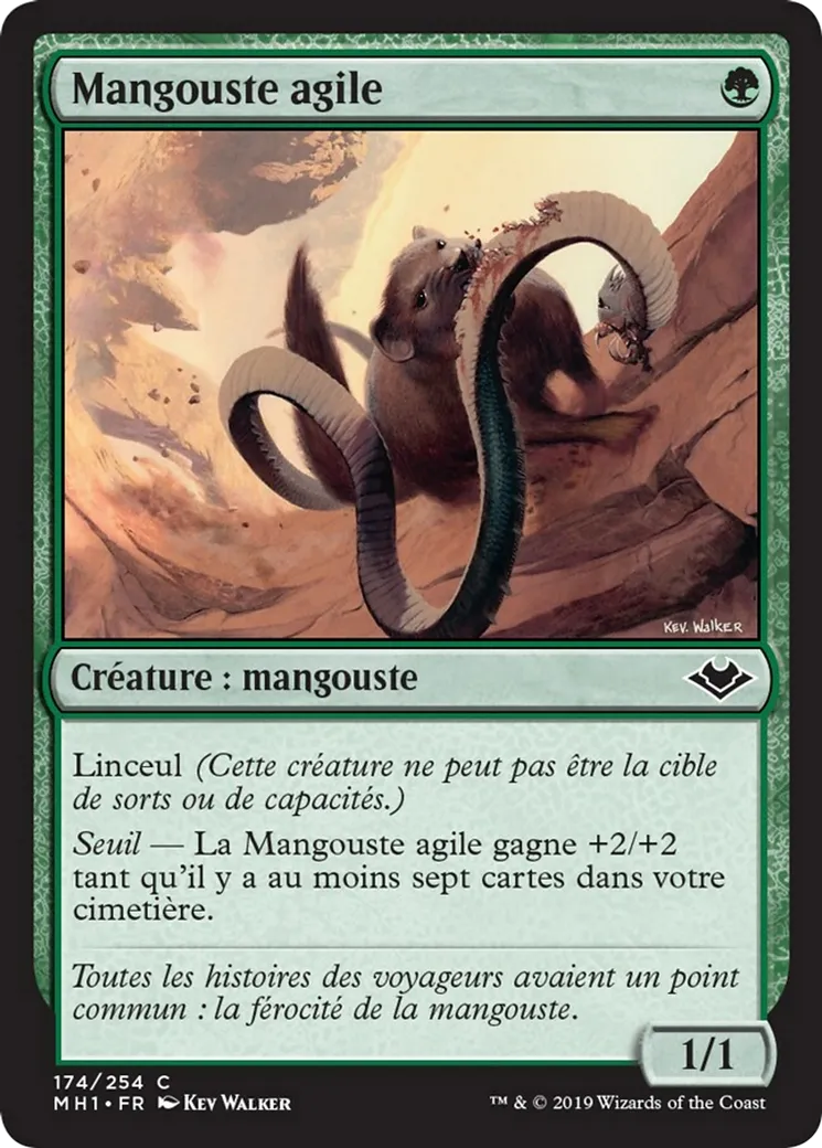 Mangouste agile — Modern Horizons — Magic: The Gathering