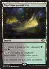 Product image for Tourbière nourricière