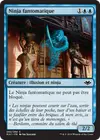 Product image for Ninja fantomatique