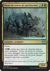 Product image for Meute de veuves de putréfaction