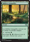Product image for Halliers tranquilles
