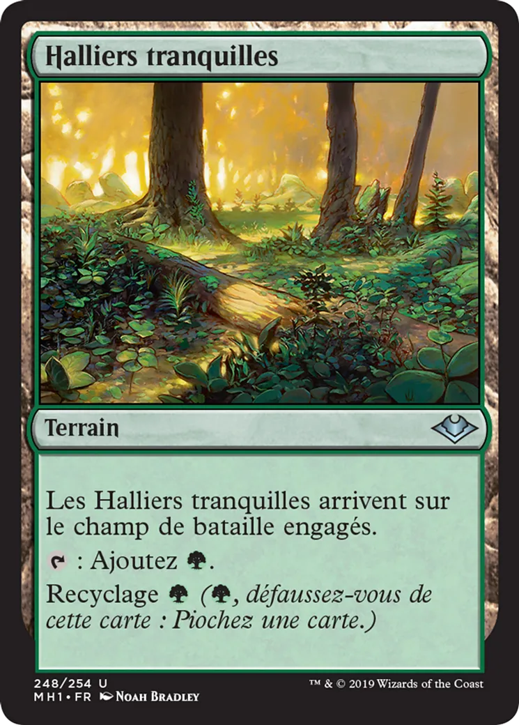 Halliers tranquilles — Modern Horizons — Magic: The Gathering