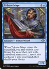 Product image for Tribute Mage