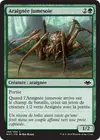 Product image for Araignée jumesoie