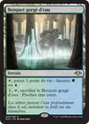 Product image for Bosquet gorgé d'eau