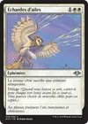Product image for Échardes d'ailes