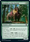Product image for Krushok au dos bariolé