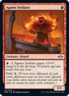 Product image for Agame brûlant