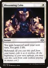 Product image for Blossoming Calm