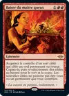 Product image for Baiser du maître queux