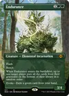 Product image for Endurance
