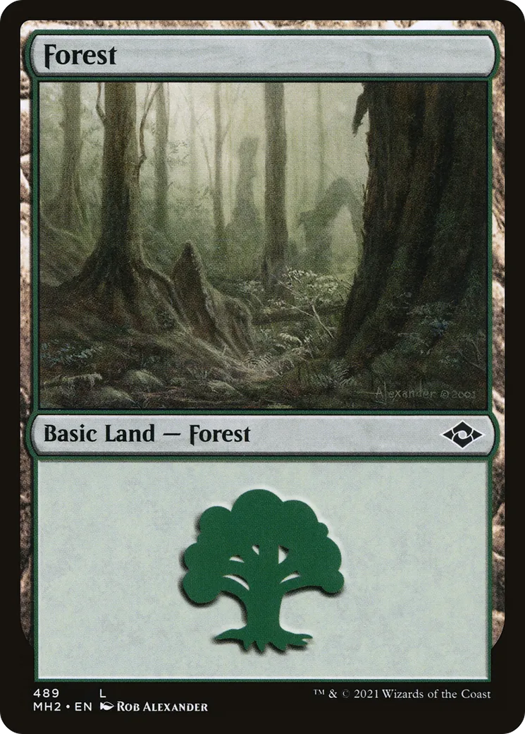 Forest — Modern Horizons 2 — Magic: The Gathering