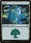 Product image for Forest