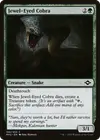 Product image for Jewel-Eyed Cobra