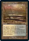 Product image for Plaines marécageuses
