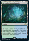 Product image for Forêt pluviale embrumée