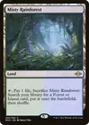 Product image for Misty Rainforest