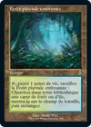 Product image for Forêt pluviale embrumée
