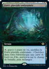 Product image for Forêt pluviale embrumée