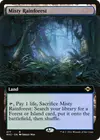 Product image for Misty Rainforest