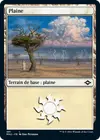 Product image for Plaine