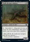 Product image for Étoile de mer sinistre