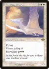 Product image for Timeless Dragon