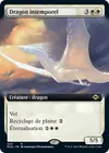 Product image for Dragon intemporel