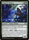 Product image for Timeless Witness