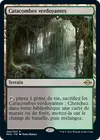 Product image for Catacombes verdoyantes