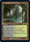Product image for Catacombes verdoyantes
