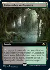 Product image for Catacombes verdoyantes