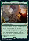 Product image for Yavimaya, berceau de croissance