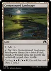 Product image for Contaminated Landscape