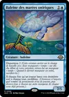 Product image for Baleine des marées oniriques