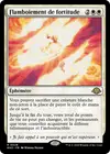 Product image for Flamboiement de fortitude