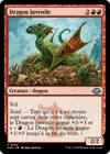 Product image for Dragon juvénile