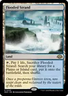 Product image for Flooded Strand