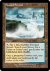 Product image for Flooded Strand