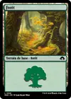 Product image for Forêt